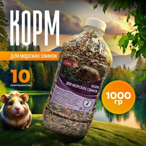 ���� ���� ��� ������� ������, ��������, �������, ���� � ����� ���� 1 ��, ������ ������