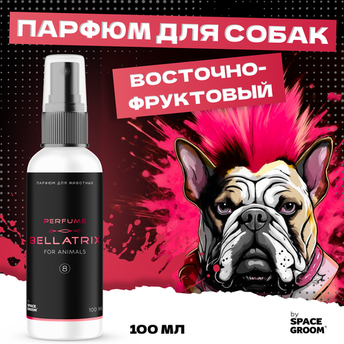 ���� ���� ��� ����� BELLATRIX � �������� ��������� ����������, ������� ������, ����������� ������ � �������, ������ ��� ����� Space Groom, 100 ��, ������ ������