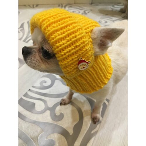 ���� ������� ��� ����� �����, ������ ������