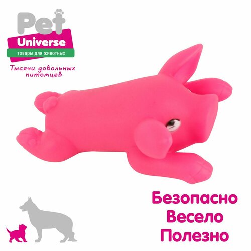     Pet Universe       12,58 , ,  PU3026PK   -     , -  