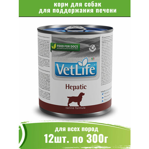  Farmina Vet Life Dog Hepatic 12  300         -     , -  