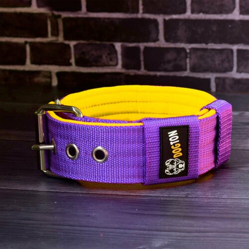 ���� ������� ��� ����� ������� � ������ ���������. ������ 5.5 ��. ������ 53-65 ��. ���� ���������� � ������, ������ ������