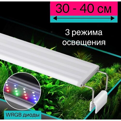  YR - 30 LED ( 30   40 ) / 3   /      -     , -  