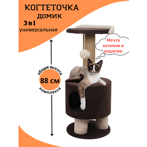 ���� ���������� � �������, ��������, ������� �������� ��� �����, ������� ��������, ����������, ������ ������