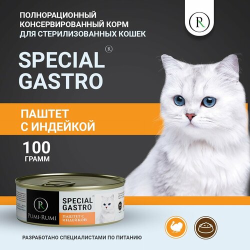             PUMI-RUMI  SPECIAL GASTRO,100    -     , -  