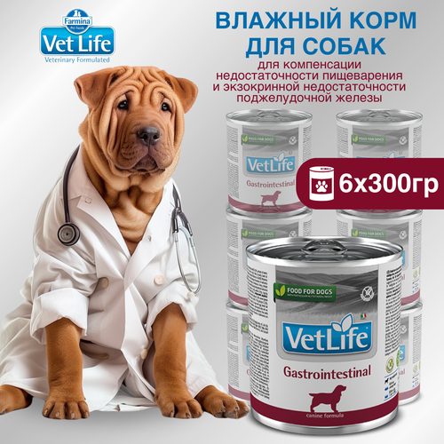  .   Farmina Vet Life Gastrointestinal     , 300, 6    -     , -  