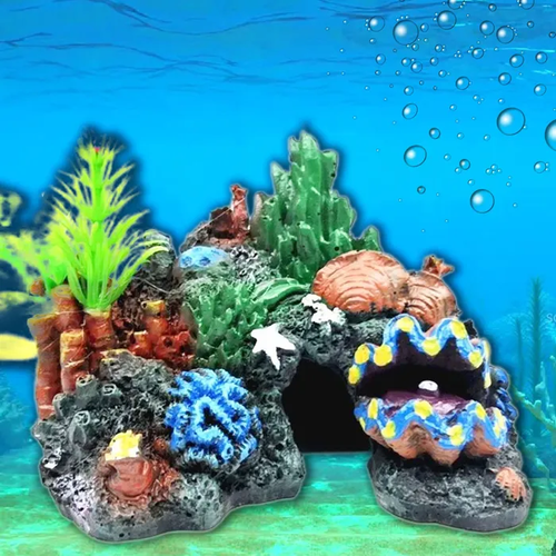 ���� ����� ��� ��������� ��� ����� ������ ����� ��� ����� � �������� 