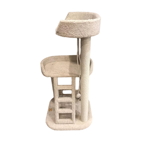 ���� ���������� ��� ����� � ��������� ��� 