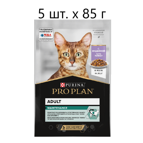      Purina Pro Plan Adult Maintenance with Turkey,  , , 5 .  85  (  )   -     , -  