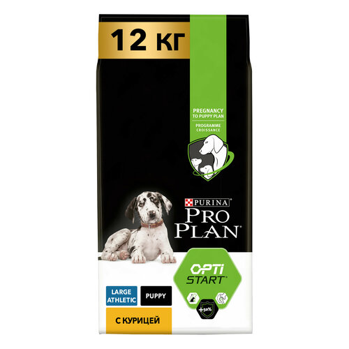    PRO PLAN       ,     12    -     , -  