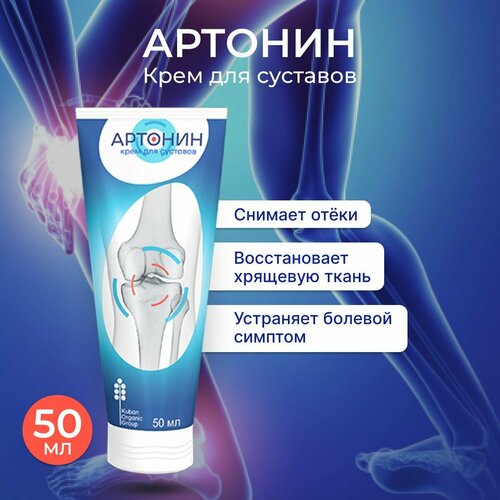 ���� ������� ������ ���� � �������� ������, ������ ������