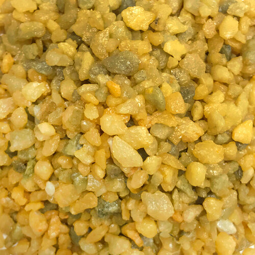 ���� ����������� ����� ��� ��������� ���������� �����������, ��� ����������� � ��������, Zoo One, ��������� ��������, ������� 