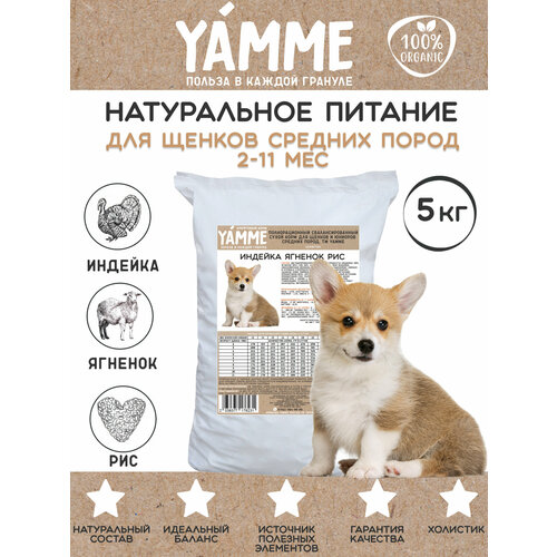    YAMME     5      -     , -  