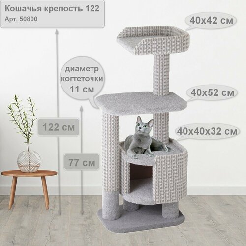 ���� ���������� ��� ����� � ������� 