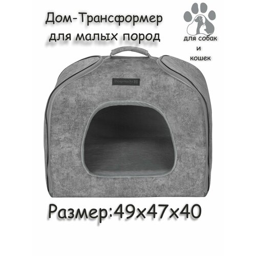        Dogmoda 494740   -     , -  