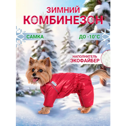 ���� OSSO Fashion ���������� ��� ����� ������������, �������� �.25 (����) �������, ������ ������