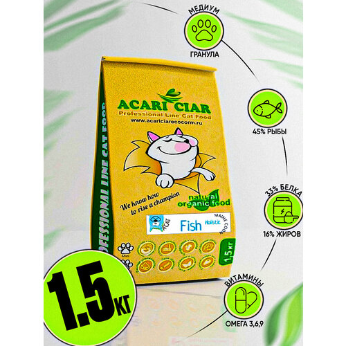    Acari Ciar    - A'Cat Maine-Coon Fish 1.5       -     , -  