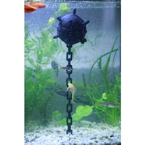 ���� ��������� ��� ��������� 