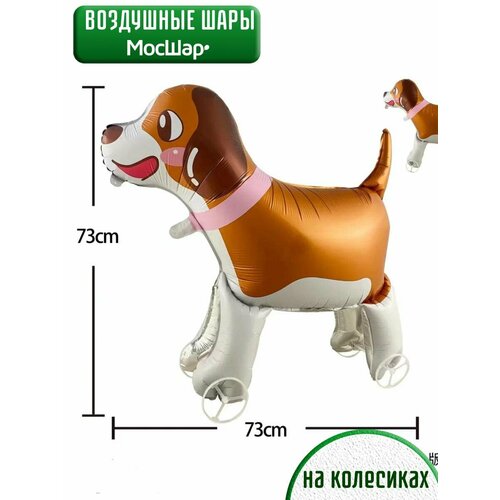 ���� ��������� ��� ������� ������ ������ �� ���������, ������ ������