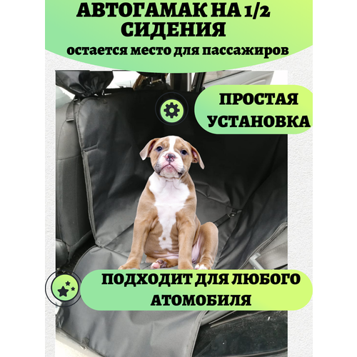 ���� ��������� �� 1/2 ����� ������� ��� �������� �����, �������� ��� ����� ��� ���������, ������, ������ ������