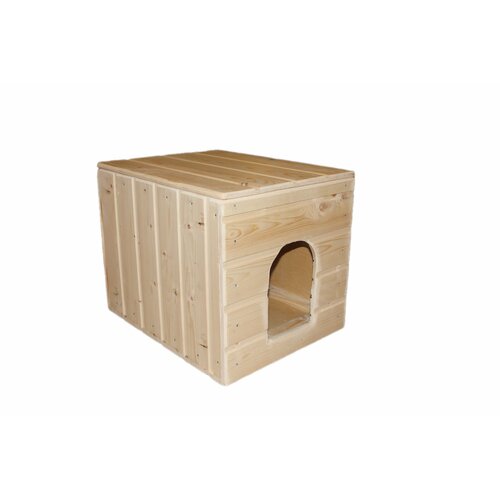 ���� ����� ��� ����� ������ 40�50��, ������ ������