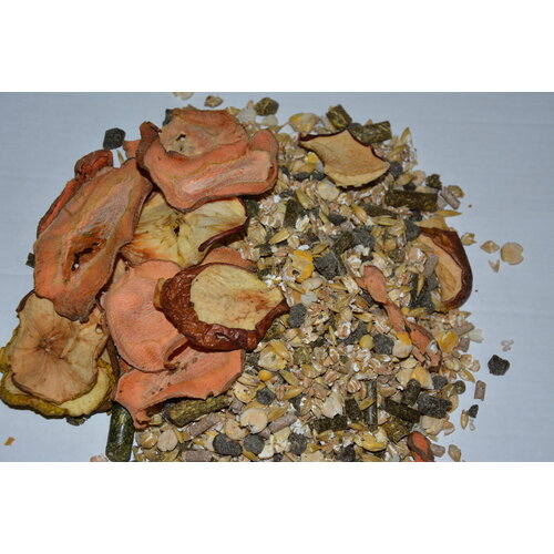 ���� �������� ����� ��� �������� 11� �������������� 5 ��, ������ ������