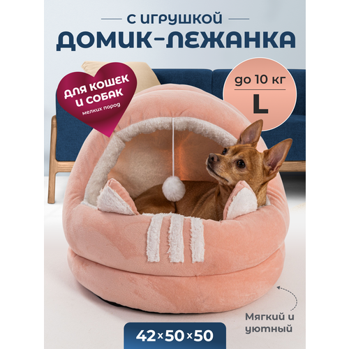      , L 505042 ,     ,   Family Pet   -     , -  