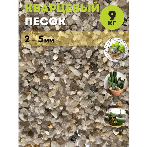 ���� ��������� ����� / 2-5�� / 9��/�����, ������ ������