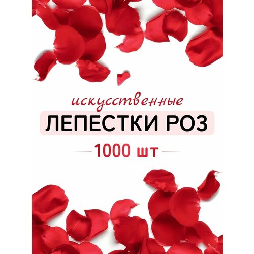 ���� �������� ��� ������������� 1000 ��, ������ ������