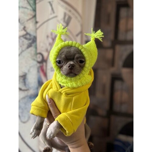 ���� ����� ��� ������ 