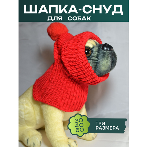 ���� �����-���� ��� ����� � ��������, ������ ������