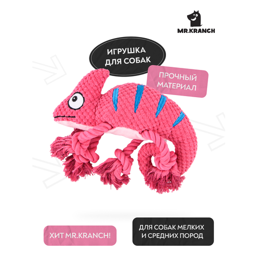 ���� ������� Mr.Kranch ��� ����� 