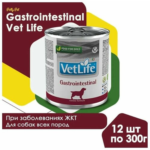     Farmina Vet Life Gastrointestinal    , c  ,       , 12  300   -     , -  