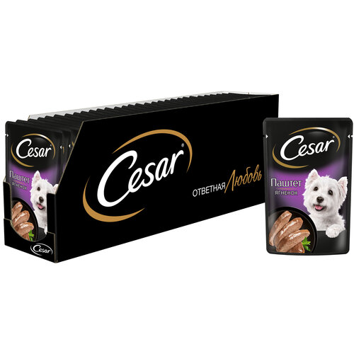      Cesar    1 .  28 .  80    -     , -  