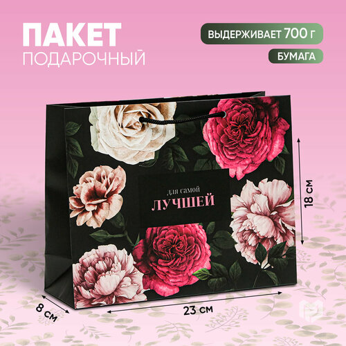 ���� ����� ���������� ���� ����� ������, 23 ? 18 ? 8 ��, ������ ������