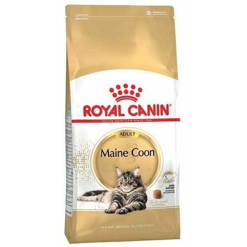  Royal Canin Maine Coon Adult         ,  10 .   -     , -  