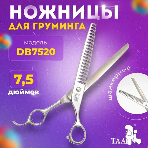  TAA     7.5 DB7520 ,       -     , -  