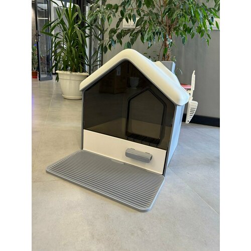 ���� �������� �����-����� � ��������� �������� , ������ � ���������� ����� ������� ����� 