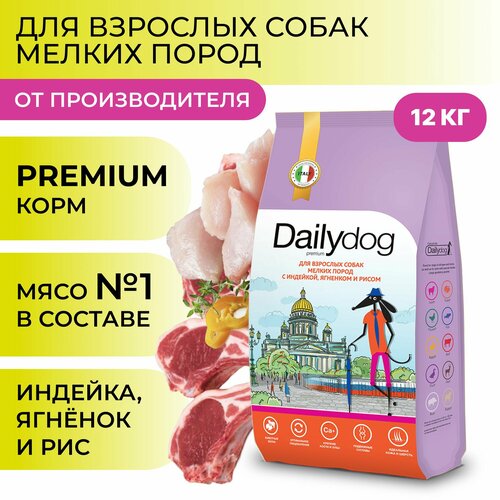    Dailydog    ,  ,   , 12    -     , -  