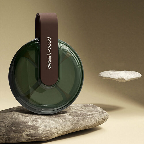 ���� ����������, ������ ������