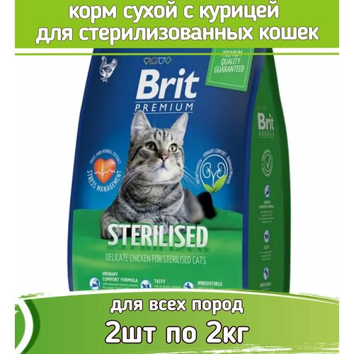    Cat Sterilized Chicken 2  2   /.    -     , -  