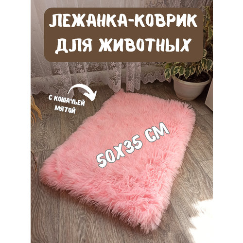 ���� �������-������ ��������� ��� ��������, ����� ��� �����, ��� �����, ������� 50�35 ��, ������ ������