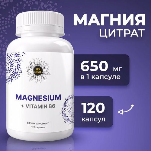 ���� ������ ������ � ������� �6 ��� ������� �������, 120 ������, ������ ������