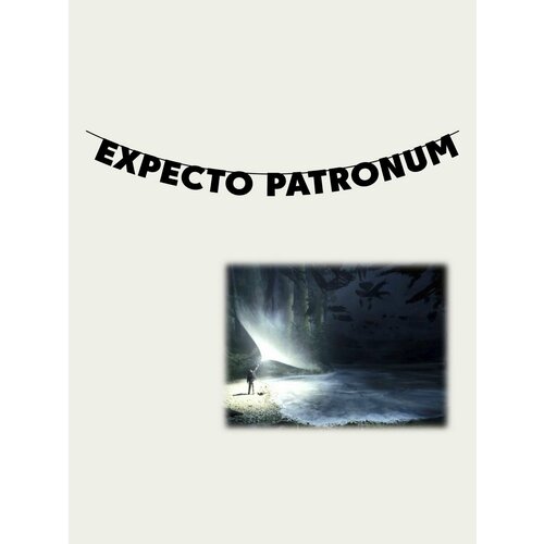        - EXPECTO PATRONUM   -     , -  