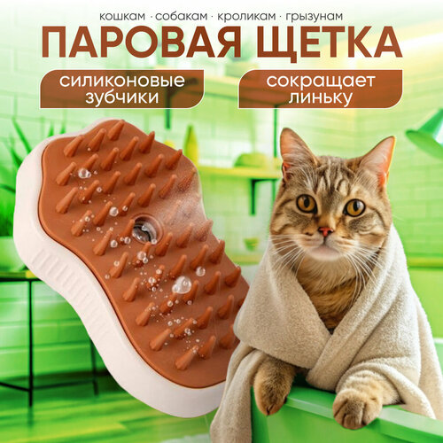 ���� ����� ��� �������� � ����� �����������, ������ ������