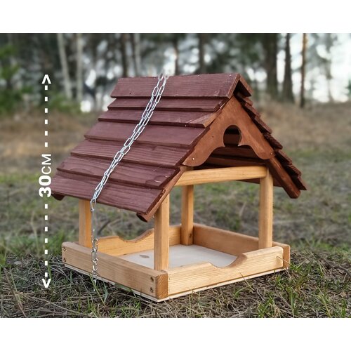 ���� �������� ��� ���� ����������, ������ ������