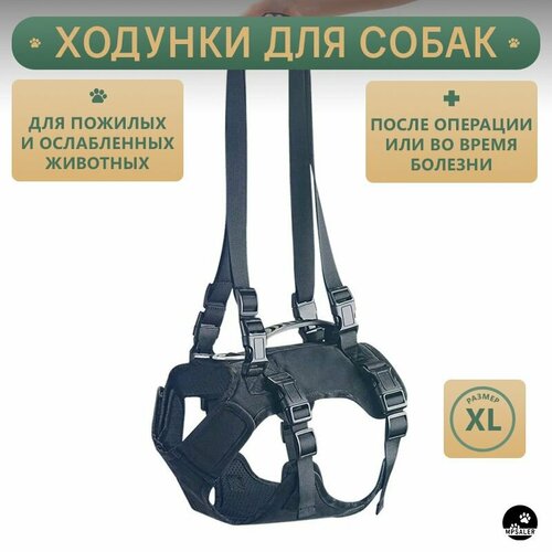 ���� ������� ��� ������� � �������������� �����. ������ XL, ������ ������