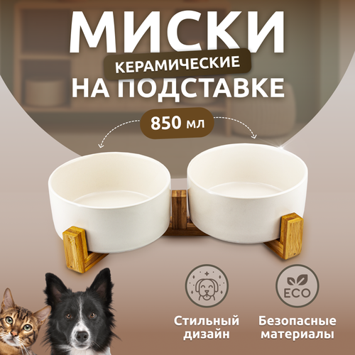 ���� ����� ��� �����, �����, ������ ������