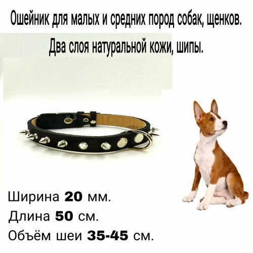 ���� ������� �� ����������� ���� � ������ ��� ����� ����� � ������� �����, ������ 20 ��*59 ��, ����� ��� 35-45 ��. ��� ���� ����������� ����., ������ ������