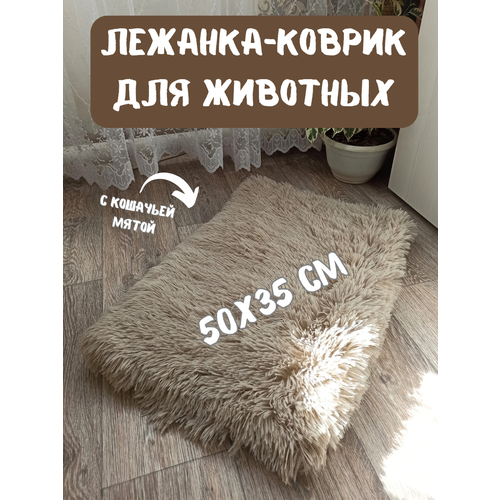 ���� �������-������ ��������� ��� ��������, ����� ��� �����, ��� �����, ������� 50�35 ��, ������ ������